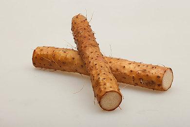 《东方弹幕神乐：迷失幻想曲》众筹4倍达成 确定制作Switch版